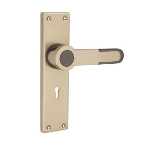1 - Atom Locks