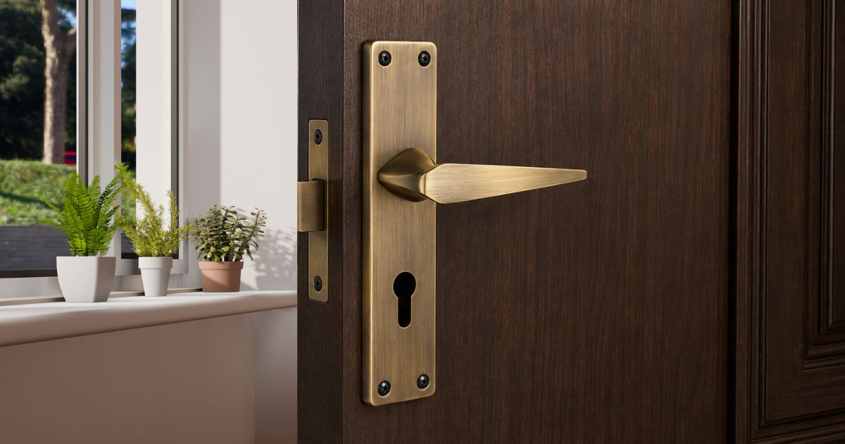 Brass door handle on a dark wooden door with a keyhole plate; sunlight and potted plants on a windowsill nearby.