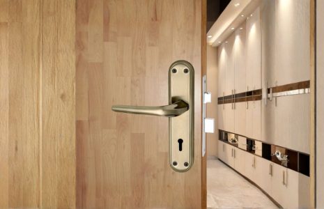 Best Aldrop Manufacturer in Aligarh for Strong Door Security