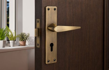 Brass door handle on a dark wooden door with a keyhole plate; sunlight and potted plants on a windowsill nearby.