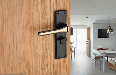 Main Gate Lock Options for Indian Homes, Aldrop, Padlock or Gate Lock