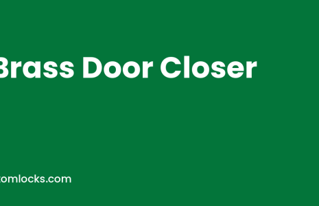 brass door closer by Atom Locks Aligarh